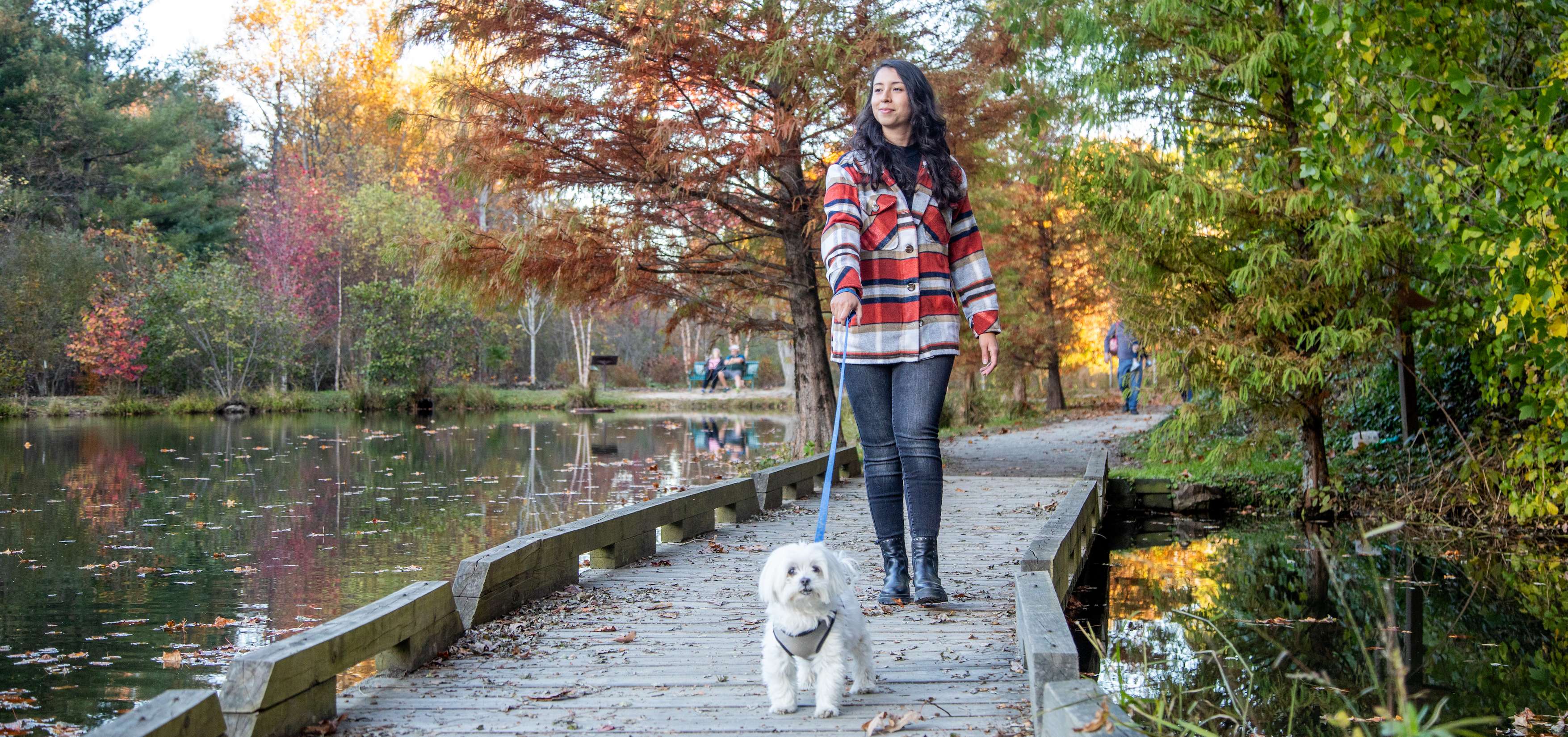 Rhodo Lake Park Board Walk